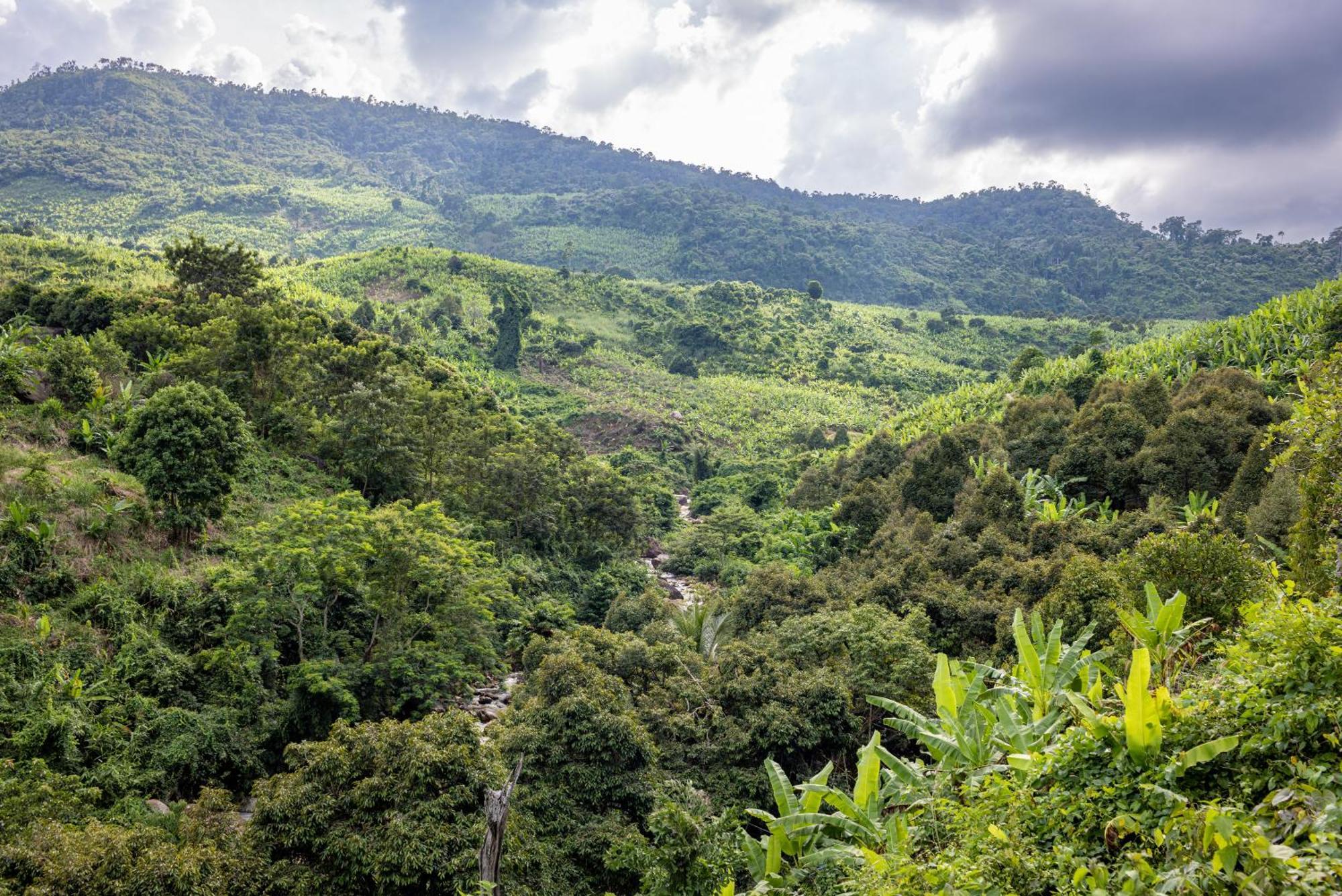 Kampot Camping - Eco Retreat ภายนอก รูปภาพ